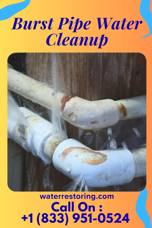 Burst Pipe Water Cleanup in Mendes, GA