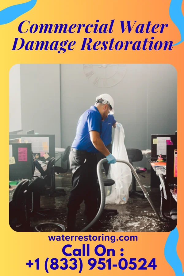 Commercial Water Damage Restoration in Mendes, GA