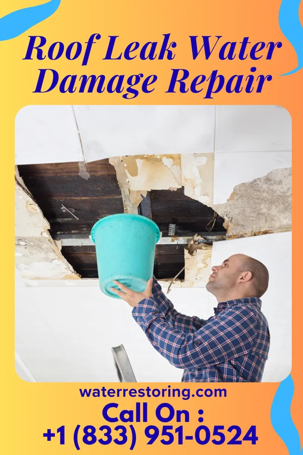 Roof Leak Water Damage Repair in Mendes, GA