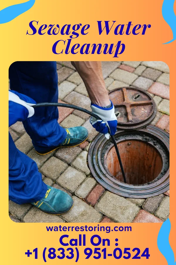 Sewage Water Cleanup in Mendes, GA